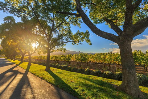 Very Best Of Perth Tour - Wildlife Park & City Highlights Tour - Accommodation Adelaide 2