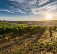 Perth to Margaret River Wine Tour - 2 Day Premium Boutique Wine Tour Experience - Accommodation Adelaide