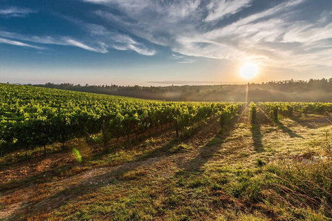 Perth To Margaret River Wine Tour - 2 Day Premium Boutique Wine Tour Experience - Accommodation Adelaide 0
