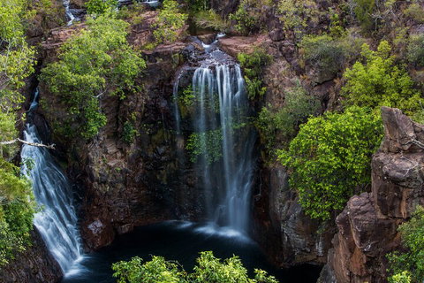 Litchfield National Park - Top End Day Tour From Darwin - Accommodation Adelaide 2