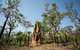 Litchfield National Park - Top End Day Tour From Darwin - thumb 5