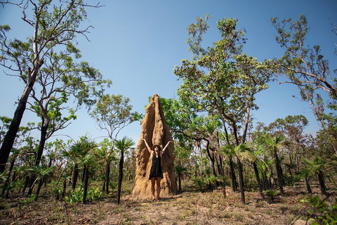 Litchfield National Park - Top End Day Tour From Darwin - Accommodation Adelaide 5