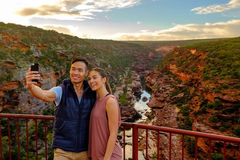 6-Day Coral Coaster From Perth To Exmouth One-Way Via Monkey Mia Ningaloo Reef - Accommodation Adelaide 1