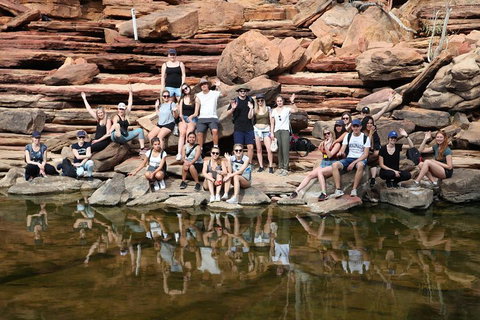 6-Day Coral Coaster From Perth To Exmouth One-Way Via Monkey Mia Ningaloo Reef - Accommodation Adelaide 2