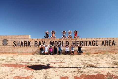 6-Day Coral Coaster From Perth To Exmouth One-Way Via Monkey Mia Ningaloo Reef - Accommodation Adelaide 4