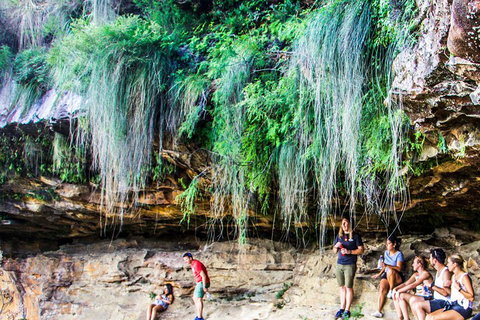 Sunset Blue Mountains Wilderness & Wildlife Tour Without The Crowds - Accommodation Adelaide 1