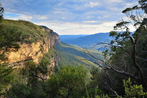 Sunset Blue Mountains Wilderness & Wildlife Tour Without The Crowds - Accommodation Adelaide 2