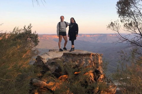 Sunset Blue Mountains Wilderness & Wildlife Tour Without The Crowds - Accommodation Adelaide 3