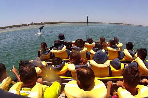 Express Jet Boat Ride + Aquaduck - Accommodation Adelaide 4