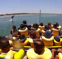 Gold Coast 55 Minute Adventure Jet Boat Ride - Accommodation Adelaide