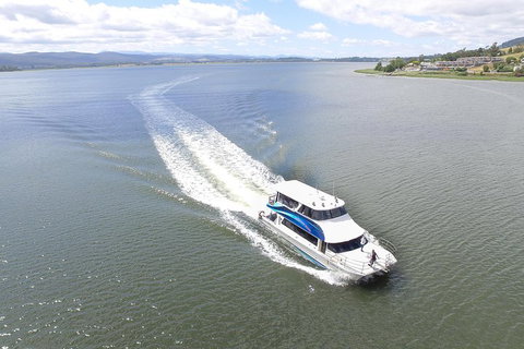 2.5 Hour Morning Discovery Cruise Including Sailing Into The Cataract Gorge - Accommodation Adelaide 2