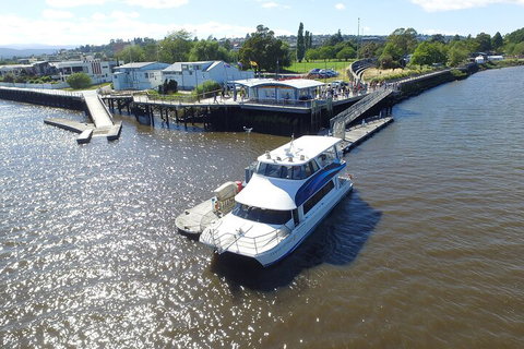 2.5 Hour Morning Discovery Cruise Including Sailing Into The Cataract Gorge - Accommodation Adelaide 3