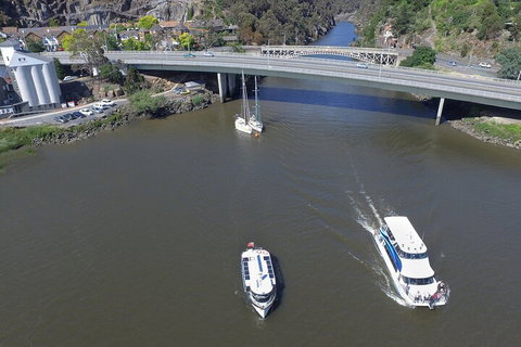 2.50 Hour Afternoon Discovery Cruise Including Cataract Gorge Departing At 3 Pm - Accommodation Adelaide 3