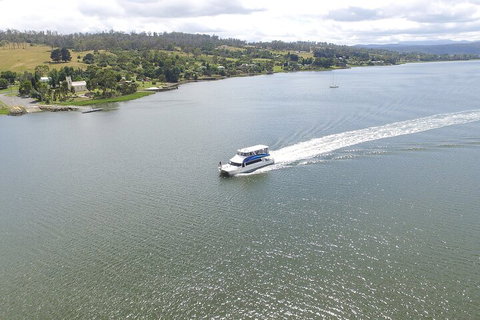 2.50 Hour Afternoon Discovery Cruise Including Cataract Gorge Departing At 3 Pm - Accommodation Adelaide 4