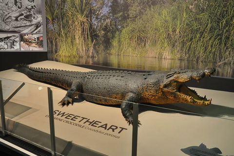Explore Darwin City Sights Including Key Attractions - Accommodation Adelaide 2