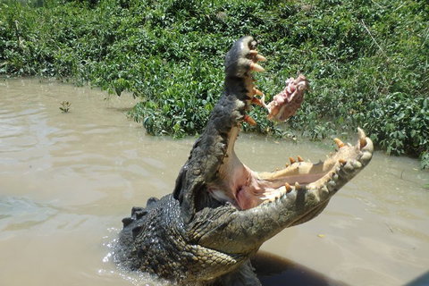 Litchfield And Jumping Crocodiles Full Day Trip From Darwin - Accommodation Adelaide 3