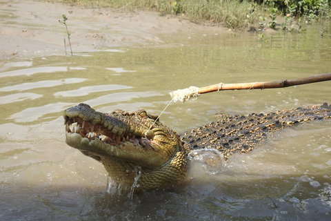 Litchfield And Jumping Crocodiles Full Day Trip From Darwin - Accommodation Adelaide 4