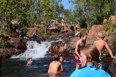 Litchfield And Jumping Crocodiles Full Day Trip From Darwin - Accommodation Adelaide 5