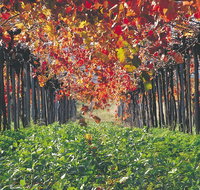 Margaret River Private Tour - Accommodation Adelaide
