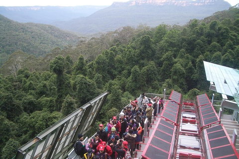 Blue Mountains Private Tour With Wildlife Park And River Cruise - Accommodation Adelaide 1