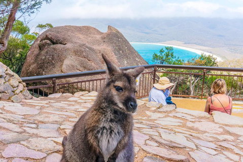 Wineglass Bay & Freycinet NP Full Day Tour From Hobart Via Richmond Village - Accommodation Adelaide 0