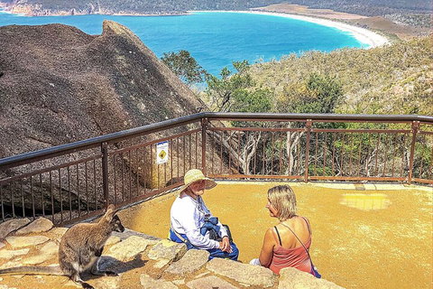 Wineglass Bay & Freycinet NP Full Day Tour From Hobart Via Richmond Village - Accommodation Adelaide 1