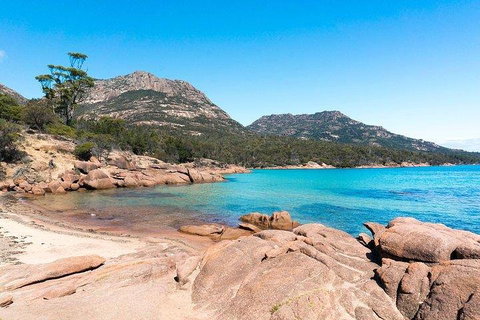 Wineglass Bay & Freycinet NP Full Day Tour From Hobart Via Richmond Village - Accommodation Adelaide 5