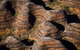 Bungle Bungle Scenic Flights, Domes & Cathedral Gorge Walk - thumb 4