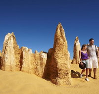 Pinnacles Day Trip from Perth Including Yanchep National Park - Accommodation Adelaide