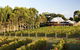 Margaret River And Geographe Bay Region Day Trip From Perth - thumb 1