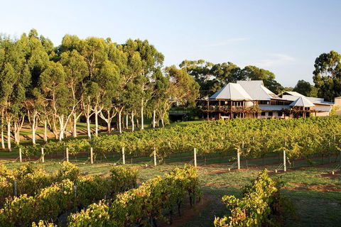 Margaret River And Geographe Bay Region Day Trip From Perth - Accommodation Adelaide 1