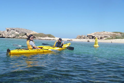 Seal Island And Penguin Island Or Point Peron Sea Kayak Tour - Accommodation Adelaide 3