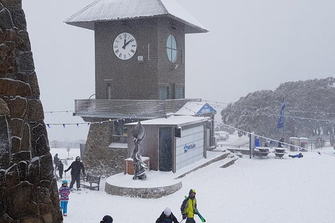 Mt Buller Day Trip From Melbourne - Accommodation Adelaide 0