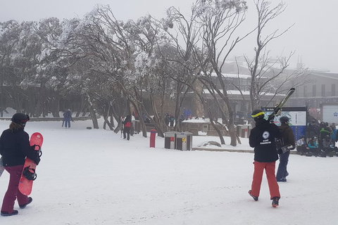 Mt Buller Day Trip From Melbourne - Accommodation Adelaide 1