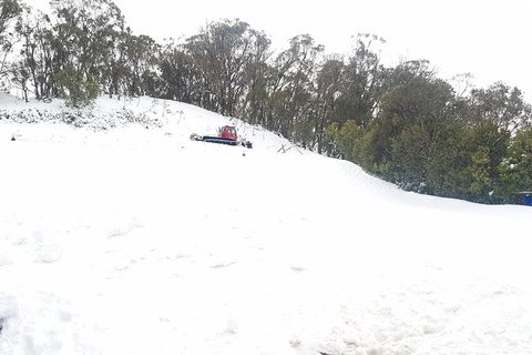 Mt Buller Day Trip From Melbourne - Accommodation Adelaide 2