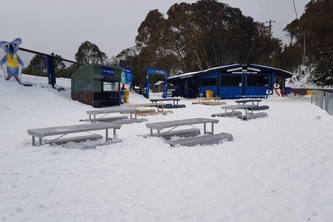 Mt Buller Day Trip From Melbourne - Accommodation Adelaide 5