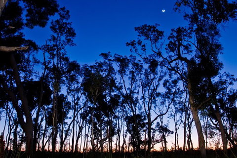 Small-Group Kangaroo Island 4WD Night Tour - Accommodation Adelaide 2