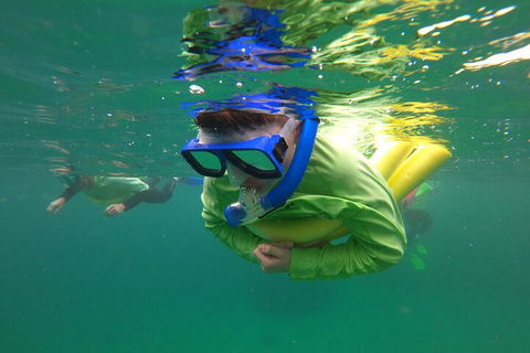 Manly Snorkel Trip And Nature Walk With Local Guide - Accommodation Adelaide 5