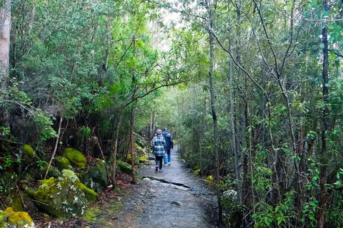 Kunanyi/Mt Wellington Tour & Hobart Hop-On Hop-Off Bus - Accommodation Adelaide 1