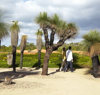 1 Day Exclusively Private Tour Of Phillip Island  The Penguin Parade - Accommodation Adelaide