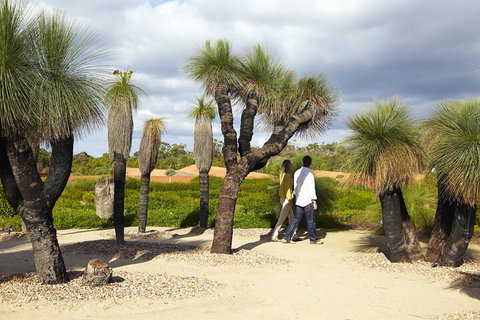 1 Day Exclusively Private Tour Of Phillip Island & The Penguin Parade - Accommodation Adelaide 0