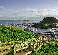 Full-Day Private Australian Wildlife Tour of Phillip Island - Accommodation Adelaide