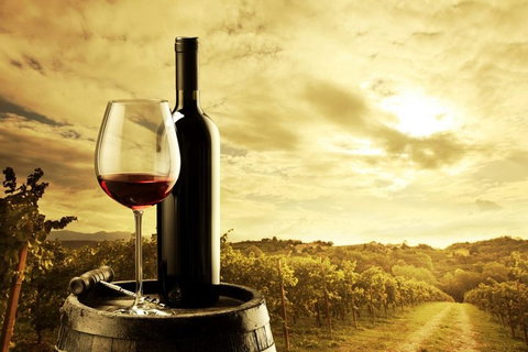 Barossa Valley Cellar Doors Luxury Wine Tour - Accommodation Adelaide 0