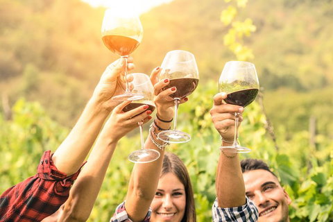 Barossa Valley Cellar Doors Luxury Wine Tour - Accommodation Adelaide 1