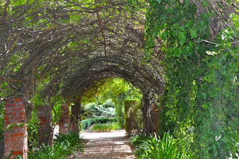 Barossa Valley Cellar Doors Luxury Wine Tour - Accommodation Adelaide 3