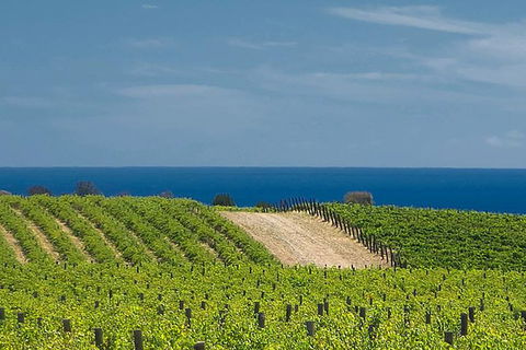 McLaren Vale Winery Small Group Tour With Wine Tasting And Lunch - Accommodation Adelaide 4