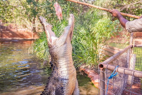 Malcolm Douglas Crocodile Park Tour Including Transportation - Accommodation Adelaide 5
