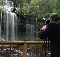 Mt Field and Styx Valley Photography Tour - Accommodation Adelaide