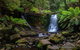 Mt Field And Styx Valley Photography Tour - thumb 3