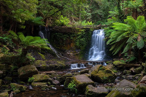 Mt Field And Styx Valley Photography Tour - Accommodation Adelaide 3